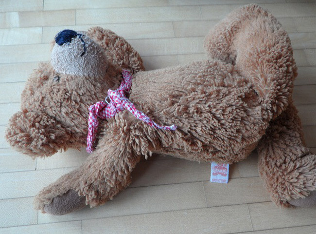 Children affected by parent overdose