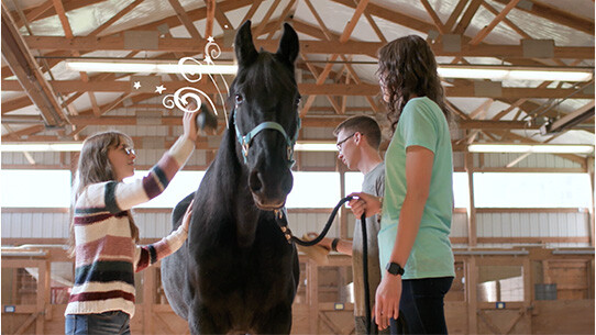At Rawhide Youth Services, compassion is our compass.